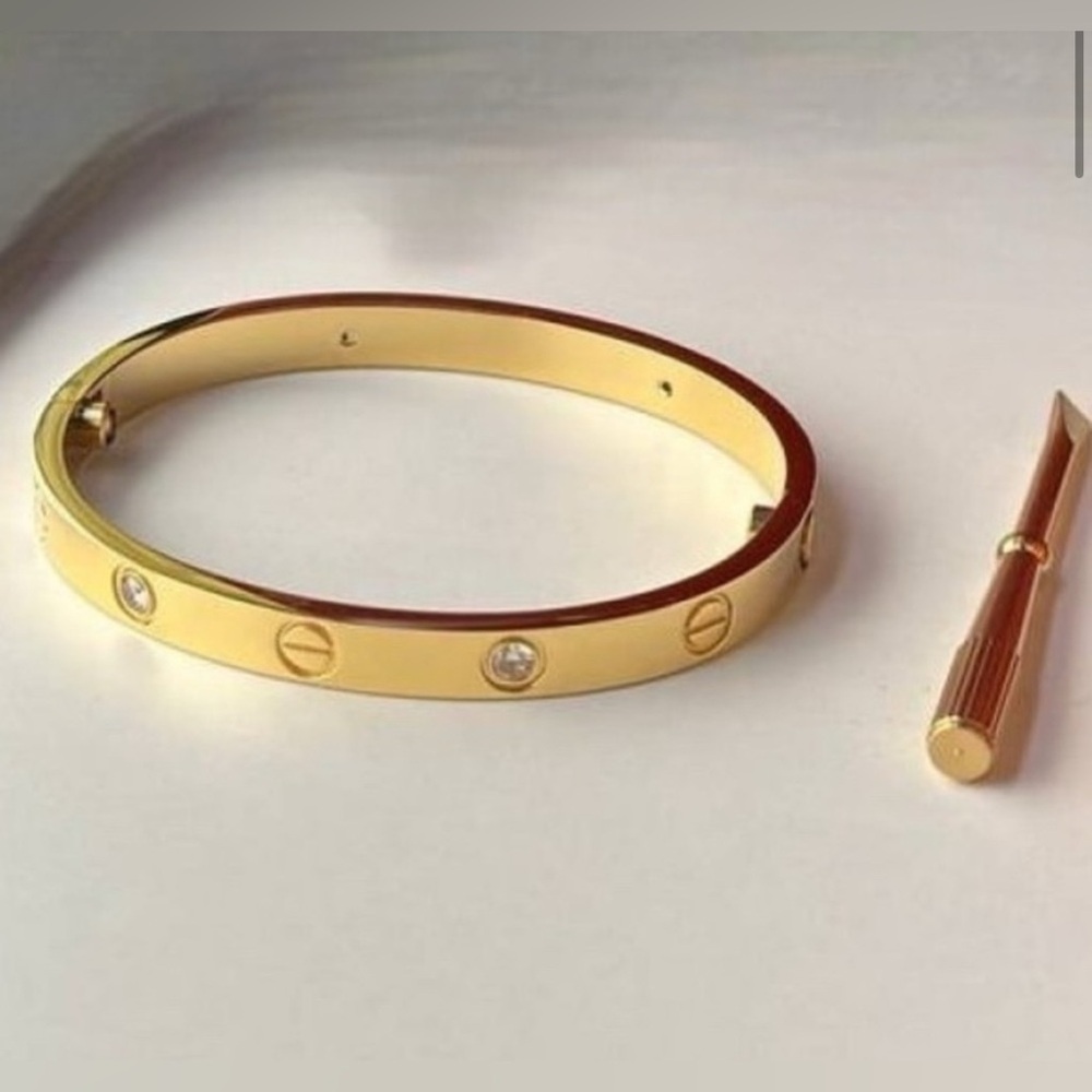 New Screwdriver stainless steel Gold Plated Love/ Nail Clou Bracelet Bangle